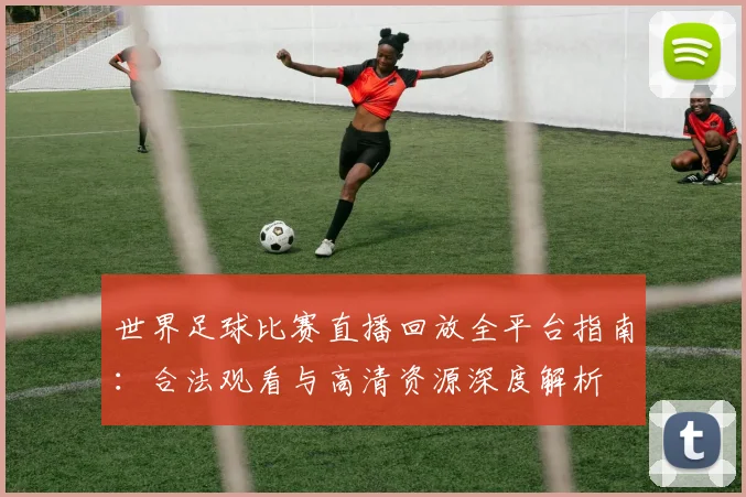 世界足球比赛直播回放全平台指南：合法观看与高清资源深度解析