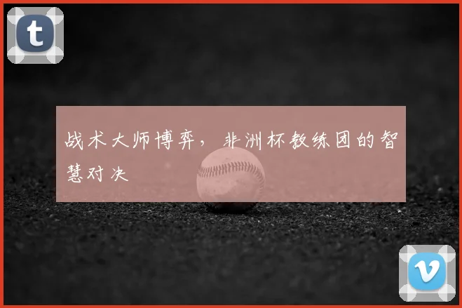 战术大师博弈，非洲杯教练团的智慧对决