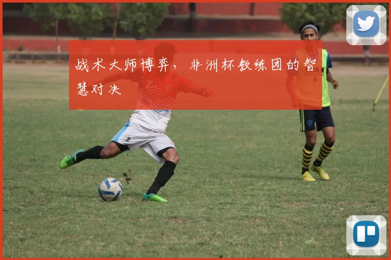 战术大师博弈,非洲杯教练团的智慧对决